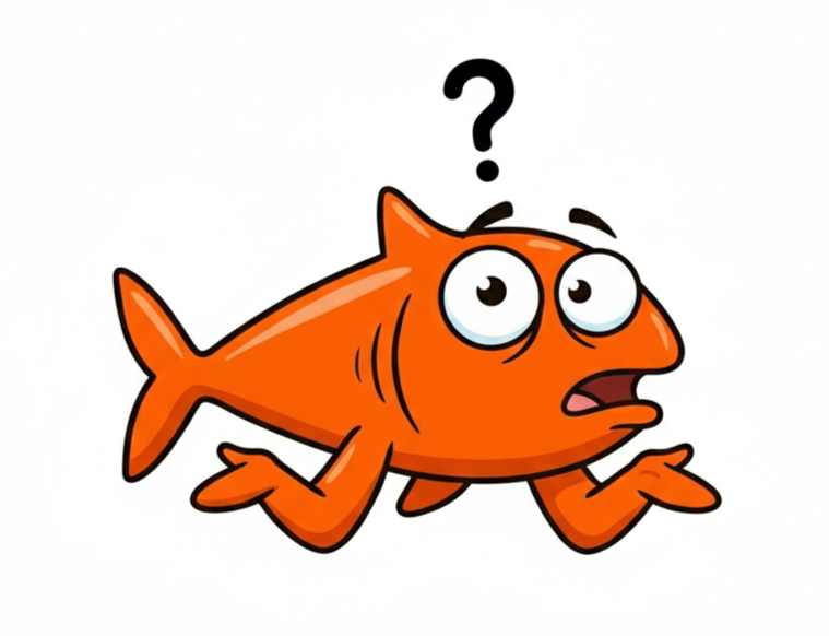 Een begeleidend plaatje bij de tekst in deze sectie.